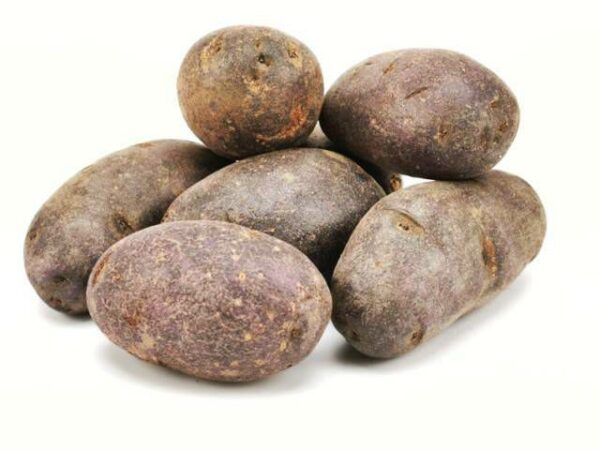 Kartoffel violett Trüffelkartoffel  5 kg Kolli  Frankreich
