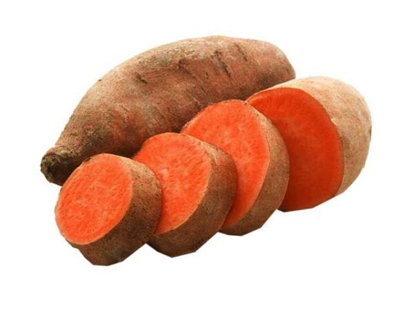 Süsskartoffel orangefleischig  6 kg Karton lose  Ägypten