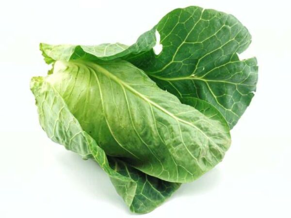 Spitzkohl  10 kg Kolli  Portugal
