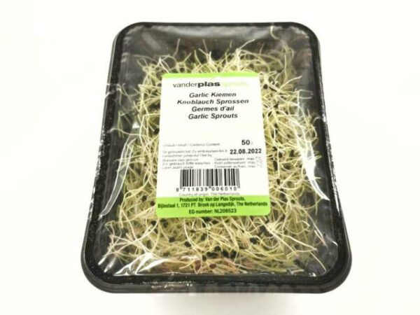Knoblauch Sprosse  4 x 50 g Schale  Niederlande