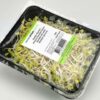 ART_spr409_1 Radieschen Sprosse 8 x 100 g Schale Niederlande