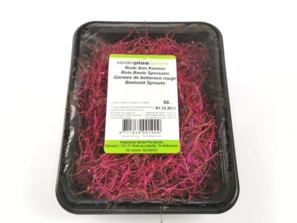 Rote Bete Sprosse  8 x 50 g Schale  Niederlande