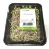 China Rosé Sprosse  8 x 100 g Schale  Niederlande
