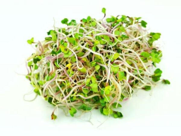 Sprosse China Rosé  1 kg Beutel  Niederlande