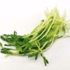 Green Peez Sprossen  1 kg Beutel  Niederlande