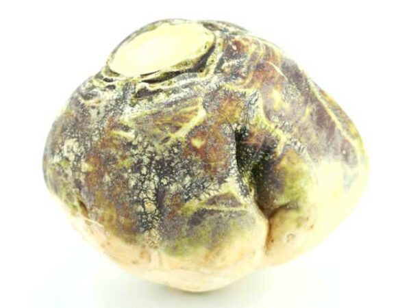 Steckrübe  15 kg Sack lose  Deutschland