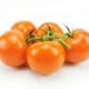 Strauchtomate  5 kg Karton  Niederlande