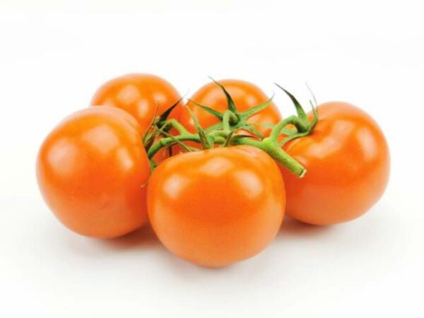 Strauchtomate  5 kg Karton  Niederlande