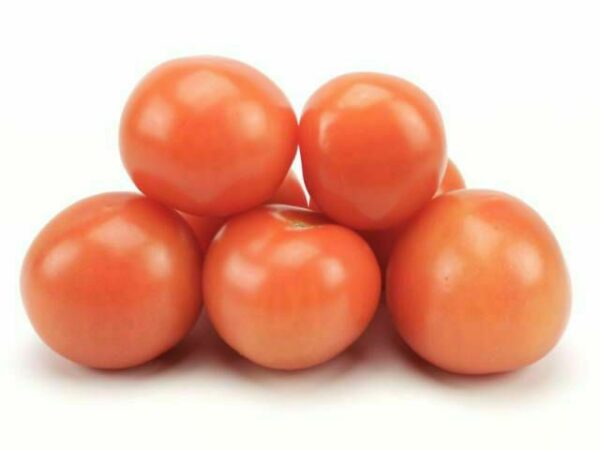 Tomate rund  6 kg Kolli lose  Niederlande