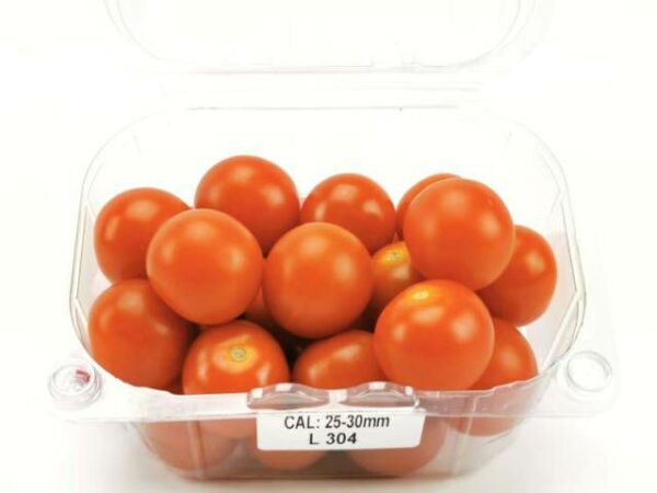 Cherrytomate rot gepackt  9 x 250 g Schale  Niederlande
