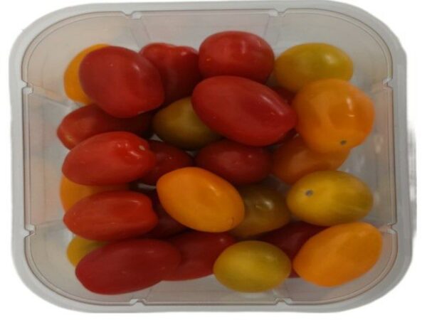 Kirschtomate - Mix  12 x 300 g Schale  Niederlande