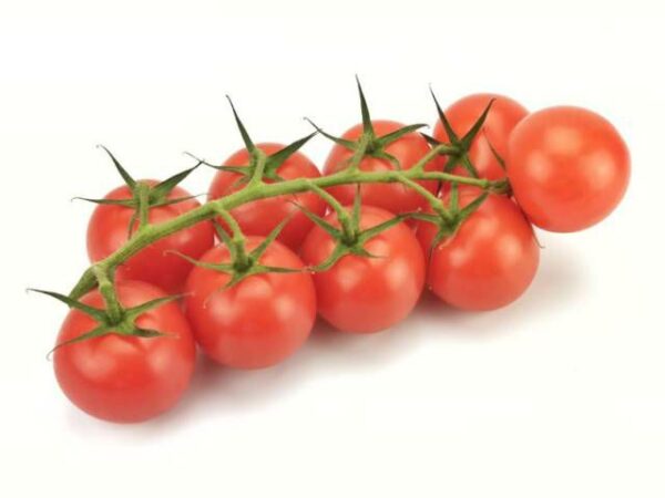 Cherrystrauchtomate  3 kg Kolli  Italien