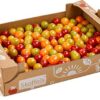 Mini-Tomaten-Mix-Regionalware 3 kg Stiege  Deutschland