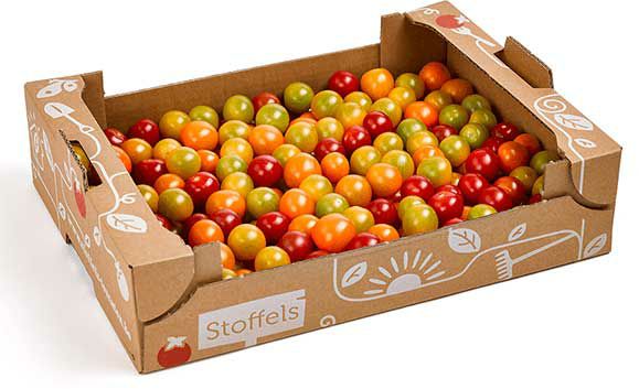Mini-Tomaten-Mix-Regionalware 3 kg Stiege  Deutschland