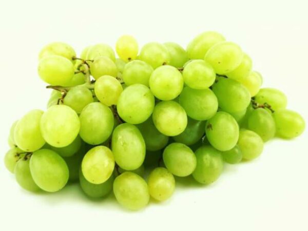 Trauben hell kernlos  4,5 kg Karton  Italien