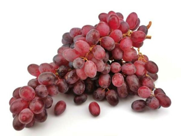 Traube dunkel kernlos  4,5 kg Karton  Italien