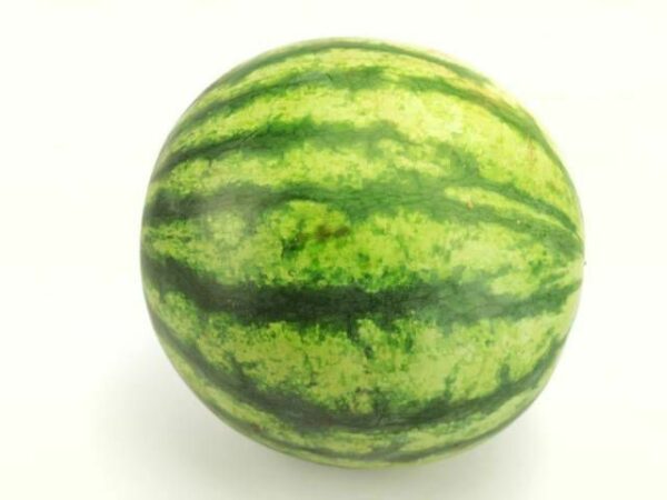 Wassermelone rotfleischig kernarm  kg  Spanien