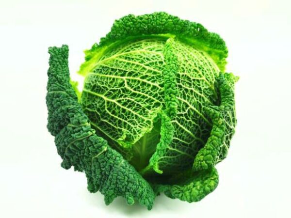Wirsingkohl  10 kg Kolli  Deutschland