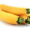 ART_zuc015_1 Zucchini gelb 5 kg Kolli Deutschland