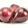 Zwiebel rot  10 kg Sack lose  Ägypten