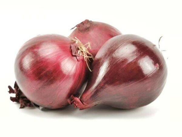 Zwiebel rot  10 kg Sack lose  Ägypten