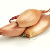 Bananen-Schalotten  5 kg Kolli lose  Frankreich