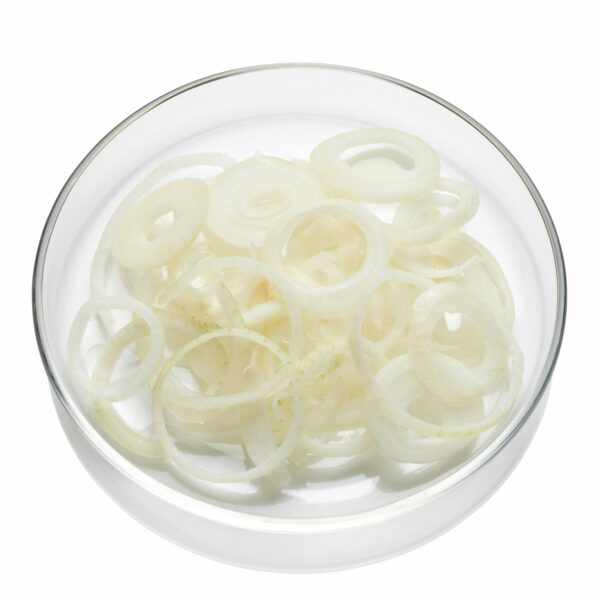 Zwiebel Streifen 4 mm  1 kg Beutel  Niederlande