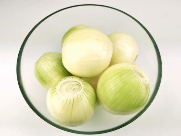 Zwiebel weiss ganz geputzt  5 kg Sack / Neue-Ernte  Polen