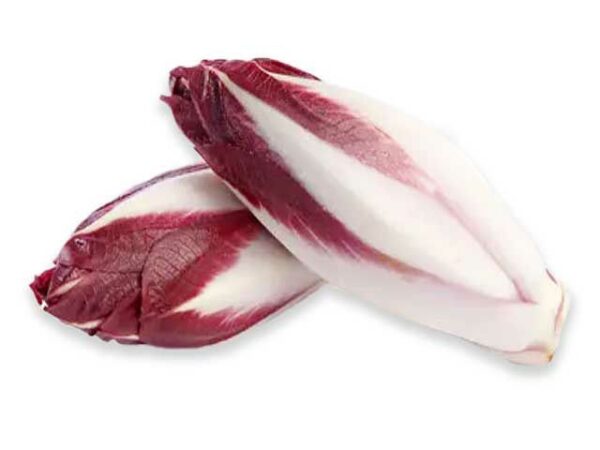 Chicoree rot  3 kg Karton lose  Niederlande