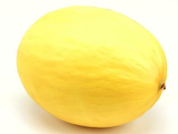 Honigmelone gelb  10 Stück Karton  Costa Rica