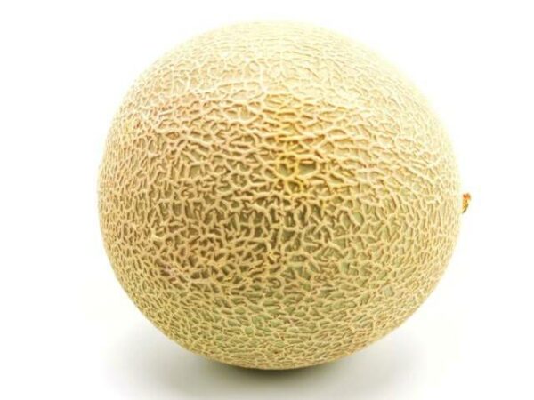 Cantaloupe Melone orangefleischig  5 Stück Karton  Spanien
