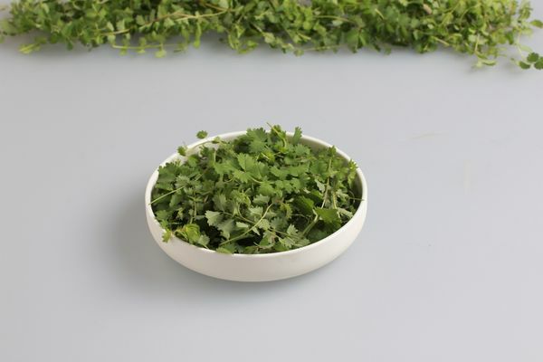 Kräuter Pimpinelle   30 g Schale  Deutschland