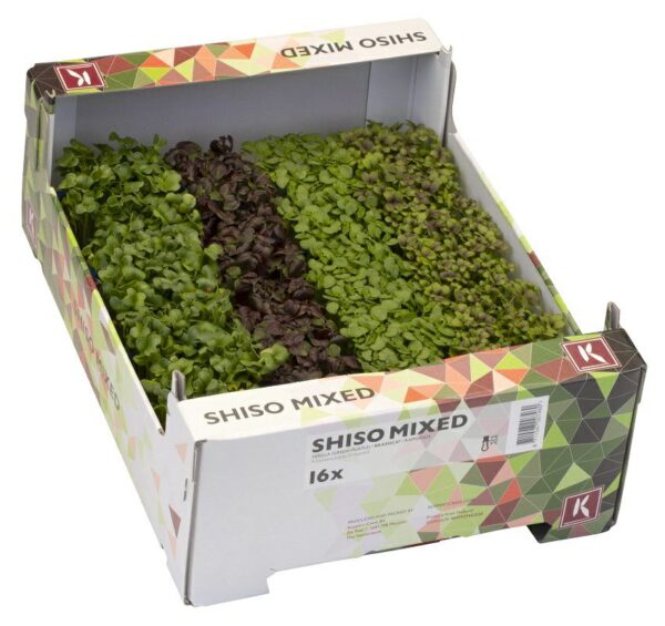 Shiso Kressemix  16er  Niederlande