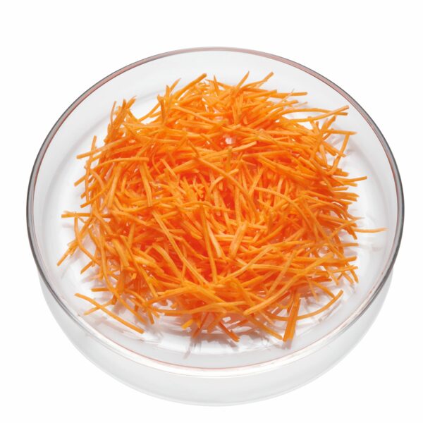 Möhren geschnitten 5 kg Julienne (1,2mm)  Deutschland