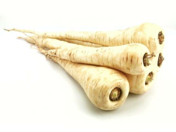 Pastinake  5 kg Kolli lose  Niederlande