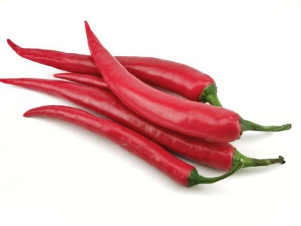 Peperoni rot  3 kg Karton lose  Spanien