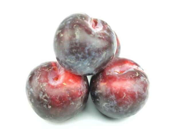 Pflaume dunkel  5 kg Kolli  Chile