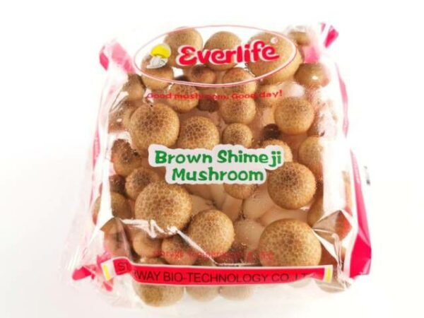 Shimeji Buchenpilz *braun*  20 x 150 g Schale  China