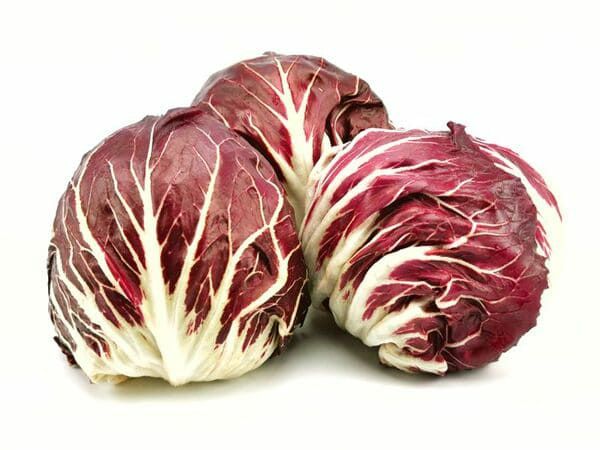 Radicchio Rosso  3 kg Kolli  Italien