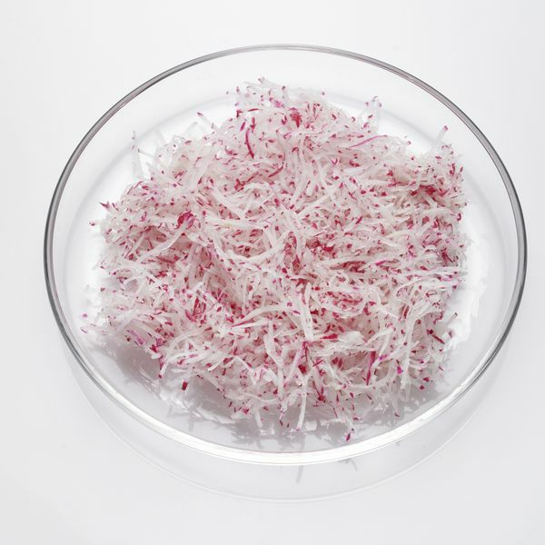 Radieschen Julienne 1,6 mm  1 kg Beutel  Deutschland