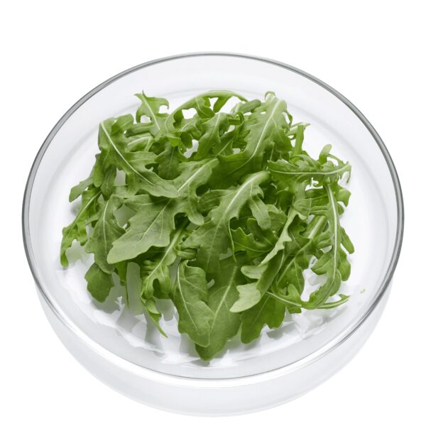 Rucola verzehrfertig Facchini 4 x 200g  Italien