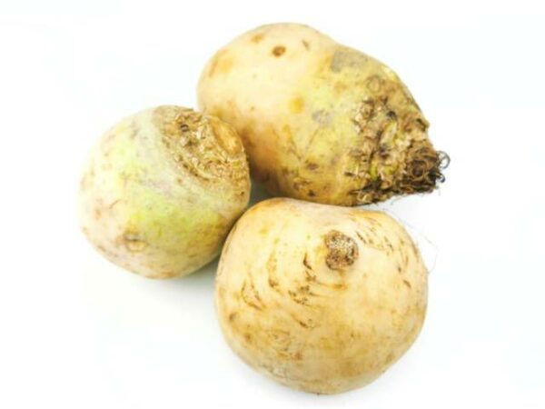 Knollensellerie gewaschen  10 kg Sack lose  Niederlande
