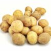 La Ratte Kartoffel 5 kg Kolli lose  Frankreich