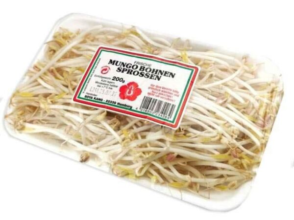 Mungobohnenkeime  8 x 250 g Schale  Niederlande