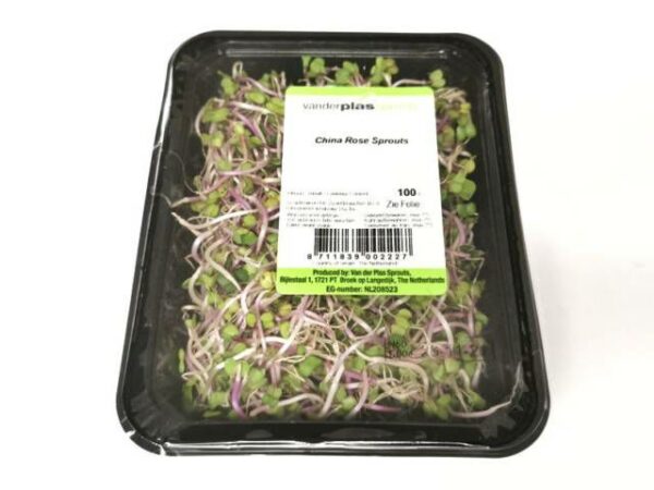 China Rosé Sprosse  8 x 100 g Schale  Niederlande