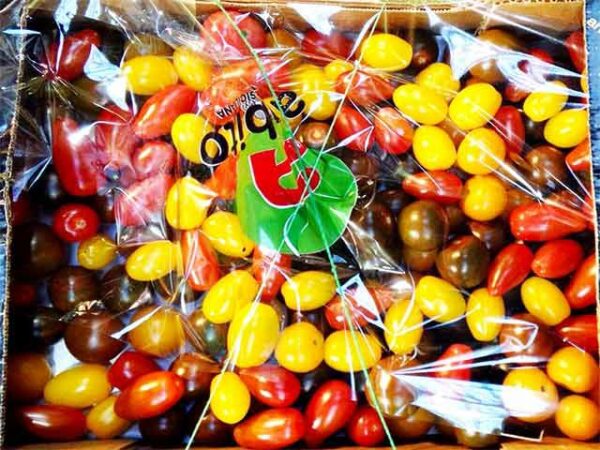 Cherrytomaten Mix       3 kg lose Kolli  Marokko