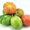 ART_tom064_1 Tomaten Mix Saveurs de Antan 3,5 kg Kiste Frankreich