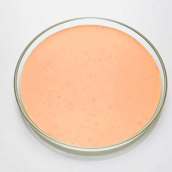 Thousand Island Dressing  5 Liter Eimer  Deutschland