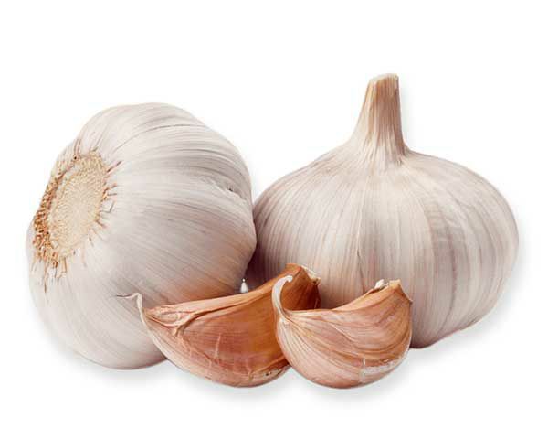 Knoblauch weiss  5 kg Sack lose  Spanien