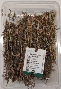Beifuss  5 x 100 g Kartonschale  Deutschland
